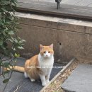 스톤 앤 레이크 이미지