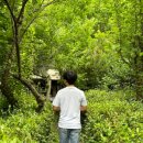 동화호수민박 이미지