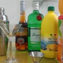 애프리코트(APRICOT) 이미지