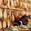 국립해양박물관 이미지