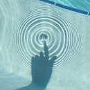 사유의숲 이미지