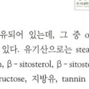 케르세틴, Quercetin 성분이 들어있는 한약재 Flavonoid 이미지