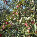 송백경로당 이미지