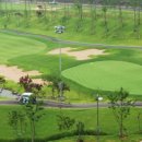 공룡의숨결 이미지