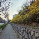 개나리공원 농구장 이미지