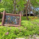 화순군 수만리 생태공원과 이서면 초등학교 교정 느티나무 이미지