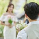 이미지결혼상담소 이미지