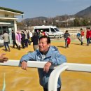 (주)나스카 | 제 29회 동아일보배 (외 타 경주들) 후기. (by 슈퍼 토스카나)