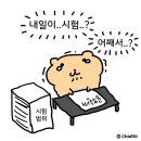 1학년 | 약대 4학년 1학기 종강 후기