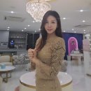 청담인셀덤 - 속초시 | 청담인셀덤