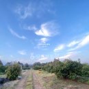 명도2농장 이미지