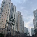 일산 이미지