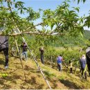 강진면사무소 이미지