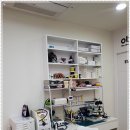 오티콘보청기 수영점 이미지