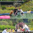 낭만접시 이미지