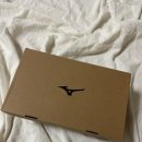 동일 스포츠 클럽 | 남자 여자 입문용 풋살화 추천｜미즈노 모렐리아 살라 클럽 TF 착용감 &amp; 사이즈 팁 솔직 후기