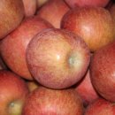 풍기한방삼계탕 이미지