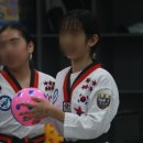 라이온 태권도장 이미지