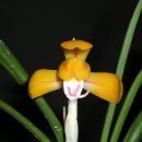 (주)금화 이미지