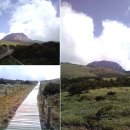 제주사회복지사협회 보수교육 다녀왔습니다. 한라산도 갔어요~ 이미지