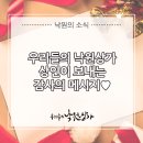 낙원영상음향 네이버블로그