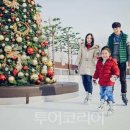 반얀트리클럽앤스파서울눈썰매장 투어코리아