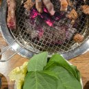 나뚜루제주일도점