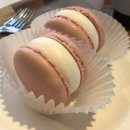 피오르(PIORR) 이미지