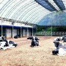 순영목장 이미지