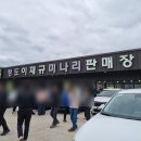 한재미나리와삼겹살거리 | 청도 한재미나리삼겹살 식도락여행 재방문 후기