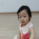 랄라홍 이미지