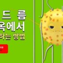 마시모헤어 이미지