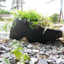 뽑기좋은날 이미지