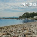 아미고리조트