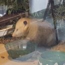 포동슈퍼