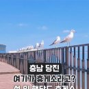 모다주유소