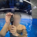 화영교육 | 슬로씨 프리다이빙 교육 후기 <이퀄라이징이 제일 쉬웠어요>