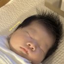 으뜸정형외과의원 | [내돈내산✨분당제일여성병원 제왕절개 후기| 제왕절개 후 방광염, 방광염 증상, 방광염 치료, 모유수유...