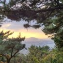 일품순두부삼화점 이미지