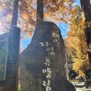 힐링(장태산) 이미지