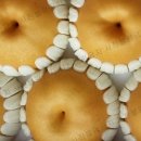 풍성농원 이미지