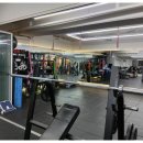 피트니스포에버 이미지