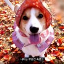 백호농장 이미지