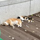(주)뭉치 이미지