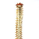 동탄맑은샘한의원 이미지