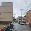 궁촌꺼먹돼지 이미지