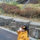 메리수인 이미지