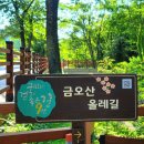 불갑저수지제당공원 | [구미 숨은 보석 금오산 올레길] 6월 나무그늘 아래 힐링 산책 후기