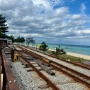 정동진역 | [강릉] 정동진역-레일바이크 후기 / 운행시간, 예약 및 주차장, 이용방법