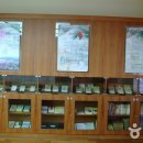 난고 김삿갓 문학관 이미지